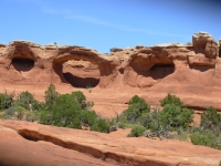 Tapestry Arch